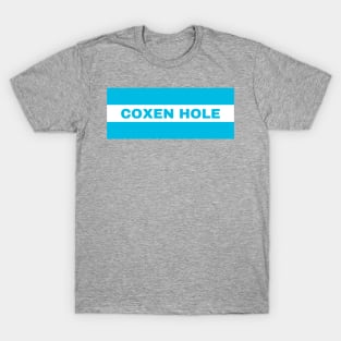 Coxen Hole City in Honduras Flag Colors T-Shirt